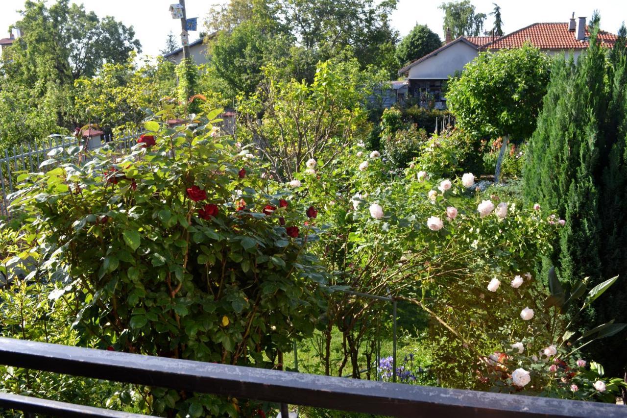 Sea & Garden Villa Varna Exterior photo